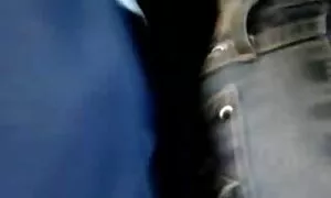آلیس گربه اش را روی دوربین انگشت گذاشت تصاویر متحرک کیرتوکس