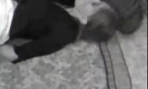 مرد فیلم کیرداخل کون دو دختر زیبا را به خود جلب می کند
